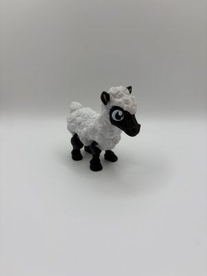 Cute Sheep
