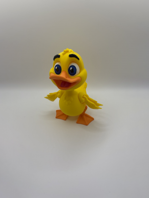 Duck